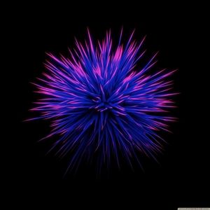 Meet your Posher, Joyce